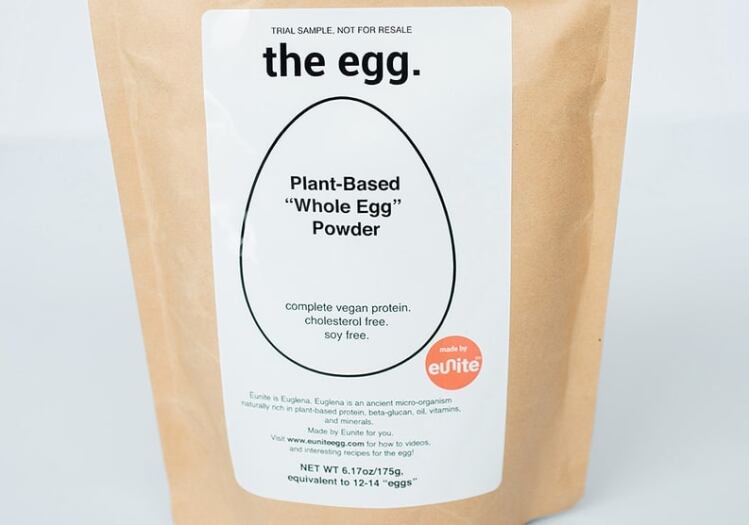 noblegen-the-egg.png