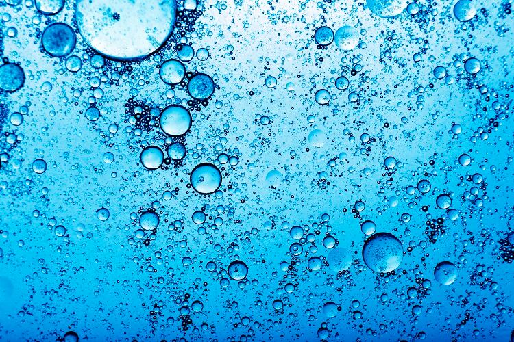 Gavan’s zero waste continuous extraction platform: ‘No part of the plant is left out’