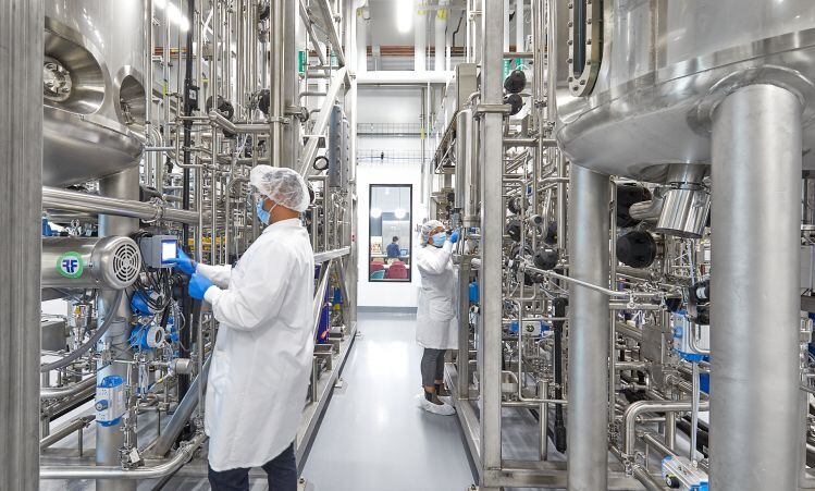 Milk producers weigh into cultivated meat labeling debate: ‘The lexicon must incorporate the considerations of diverse companies in this space…’