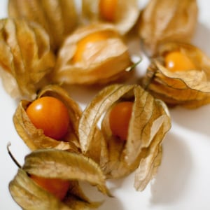 Pichuberries.jpg