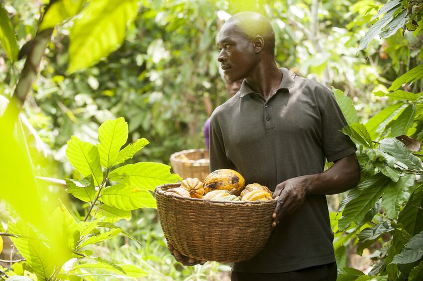 fairtrade-coop-Eric-St-Pierre.jpg