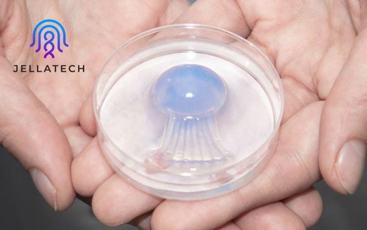 Jellatech carves novel path in alt protein market with animal-free, cell-based collagen, gelatin