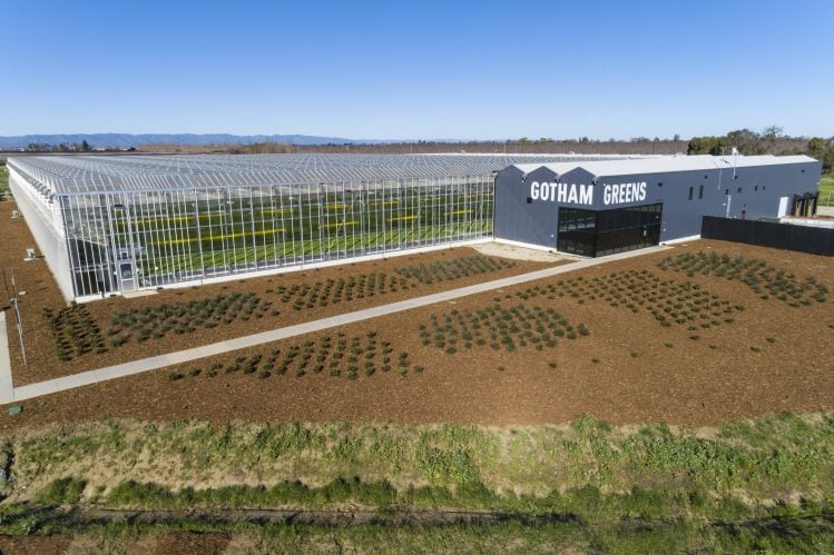 Gotham-Greens_Davis-Greenhouse_Credit-Gotham-Greens.jpg