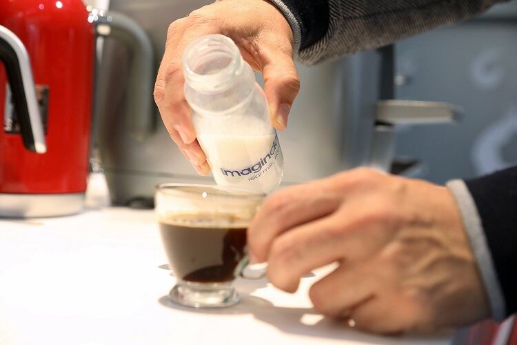 Imagindairy receives $15m boost to precision fermentation R&D: ‘We intend to produce the entire range of milk proteins, starting with whey’