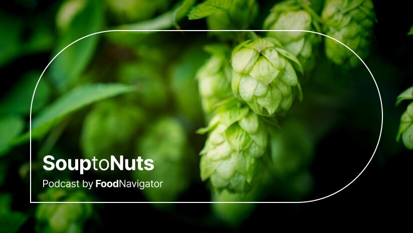 Hops on the vine