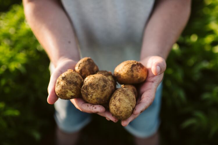 From regenerative ag to reformulation: A deep-dive into how PepsiCo is ‘reimagining the way food is grown, made and enjoyed’