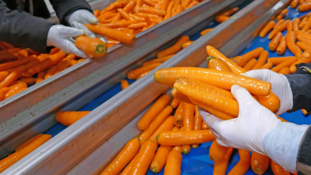The deal expands the ingredient manufacturing giant’s functional portfolio.