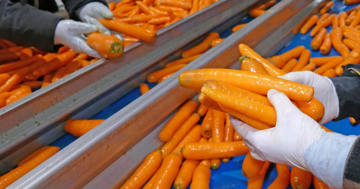 Ingredion acquires upcycled prebiotic fiber amid $3.7 billion Tate & Lyle bid