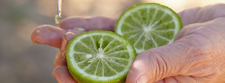 Givaudan-Yellow_CitrusLime.jpg