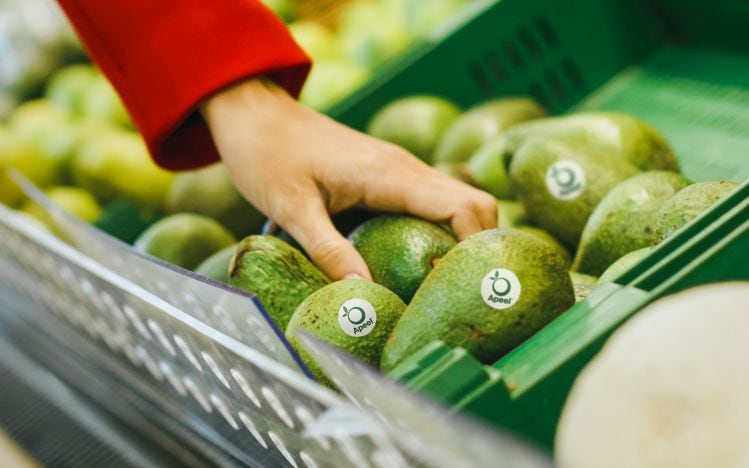 Apeel-Avocados-on-shelf.jpg