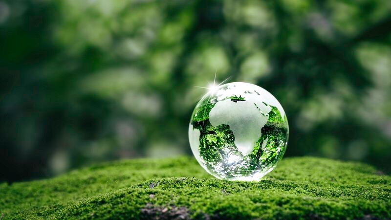 IFT announces Seeding The Future Global Food System Challenge seed grant winners, growth grant and grand prize finalists
