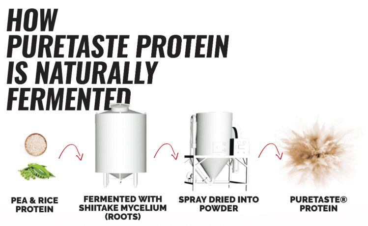 PureTaste-production.jpg