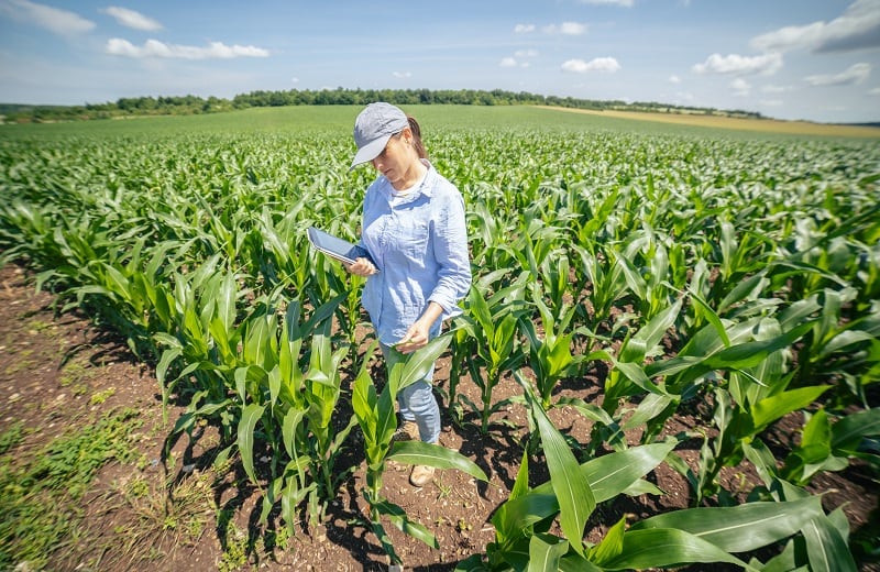 From fields to food: How the plant-based industry can boost regenerative agriculture