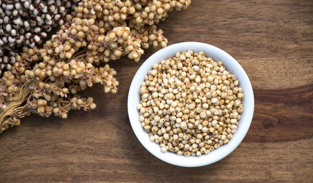 Sorghum: Ancient grain, American grown