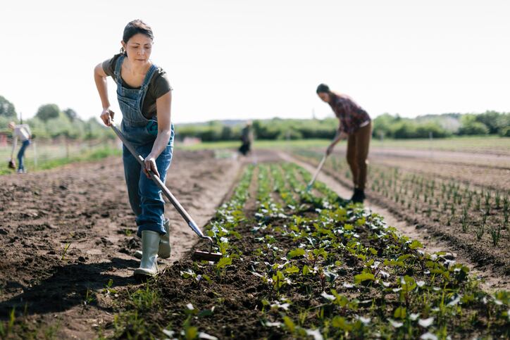 OTA seeks new CEO as Laura Batcha prepares to step down after fostering strong growth, engagement across the organic value chain