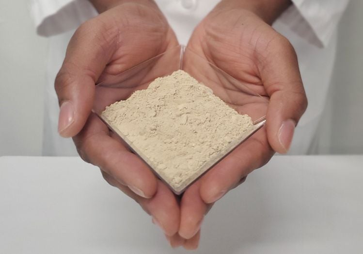 Parabel USA unveils neutral-tasting, beige-colored protein hydrolysate from water lentils