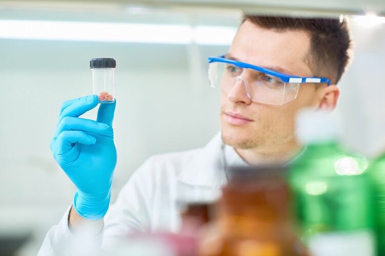 Mosa Meat, Nutreco replace pharma-grade ingredients in cell feed with food-grade alternatives
