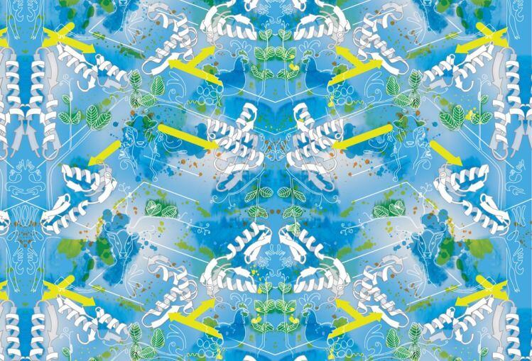 motif-ingredients-credit-KAREN-INGRAM.jpg