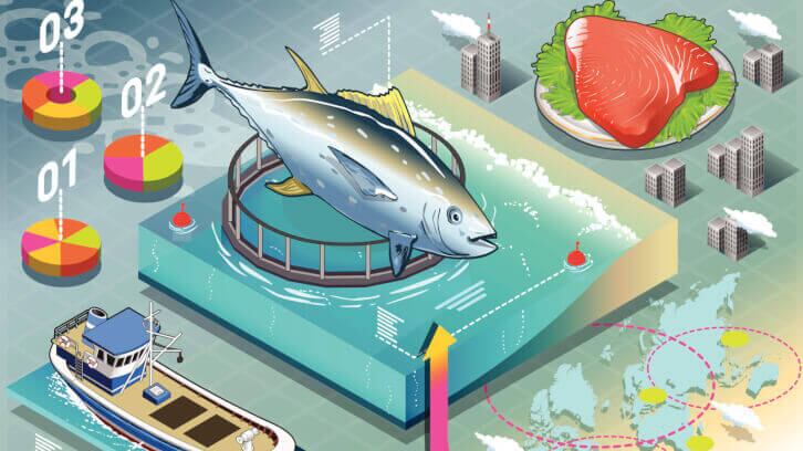 A-traceable-seafood-industry-requires-a-globalized-effort-for-standardized-data-collection.jpg