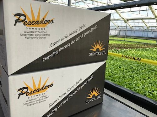 pescadero-growers.jpg