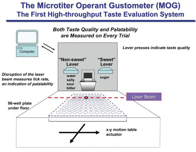 The-Microtiter-Operant-Gustometer-MOG.jpg