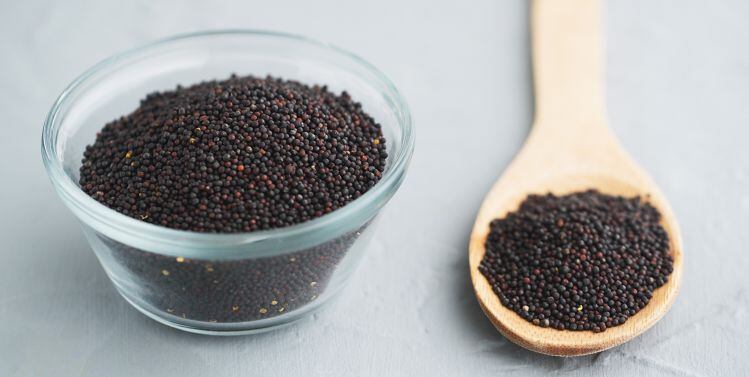 Canola-seeds-Merit.jpg