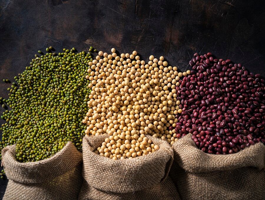 Adopting sustainable practices: The nuanced reality of plant-based proteins in CPG companies' supply chains