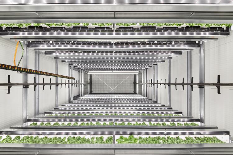 Infarm-high-capacity-farming-unit.png