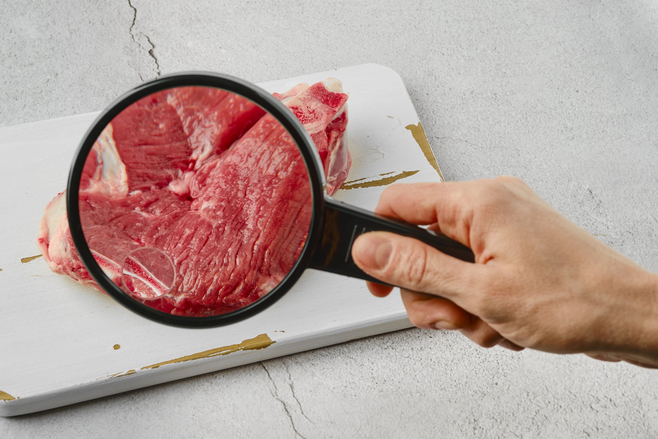 Rethinking bioreactors: Ever After Foods and Bühler aim to lower cultivated meat costs