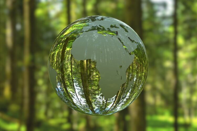 ‘An unprecedented opportunity to show real leadership’: World leaders urged to focus on food for progress on climate, COVID, health and poverty