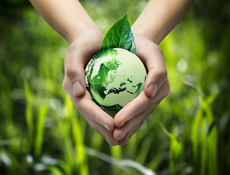sustainability-earth-Romolo-Tavani.jpg