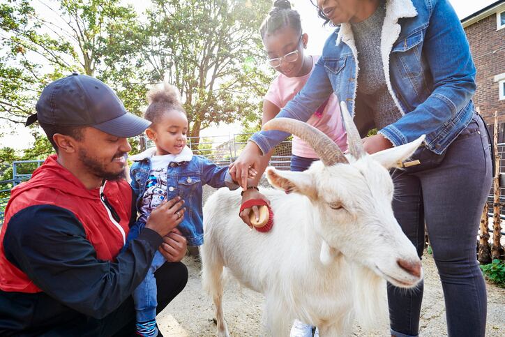 Delay in organic animal welfare standards recalls rule’s long journey