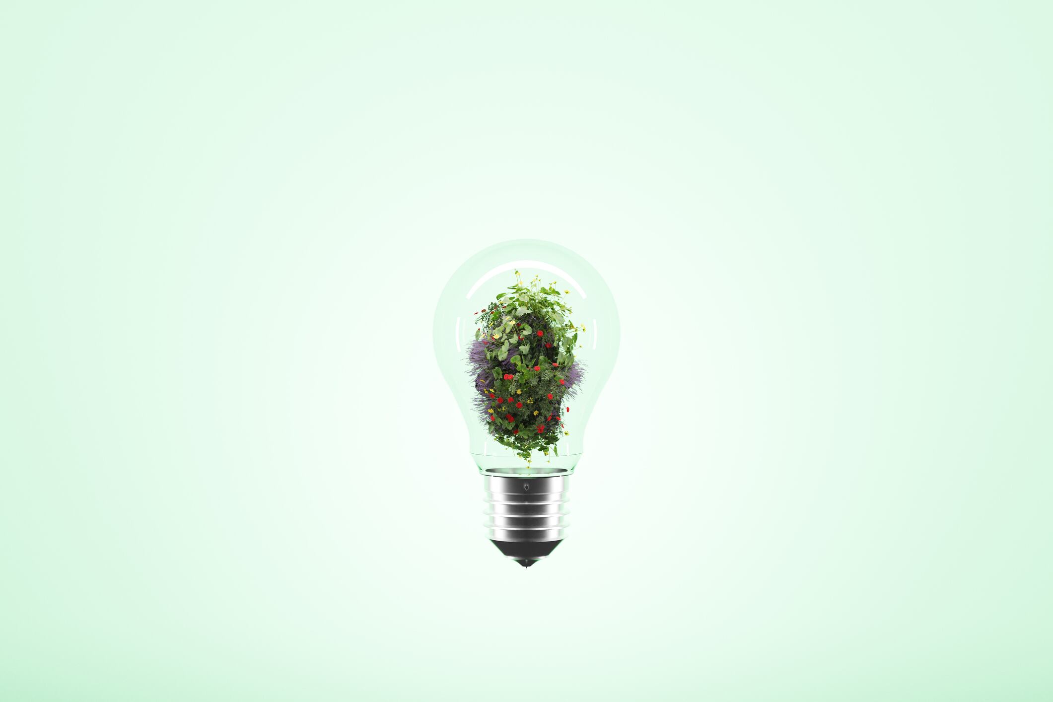 5 ways eco-labelling is falling short of its potential