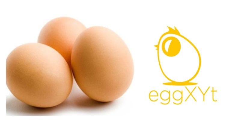 eggXYt strategy: Israeli startup launches bid to disrupt the egg industry  