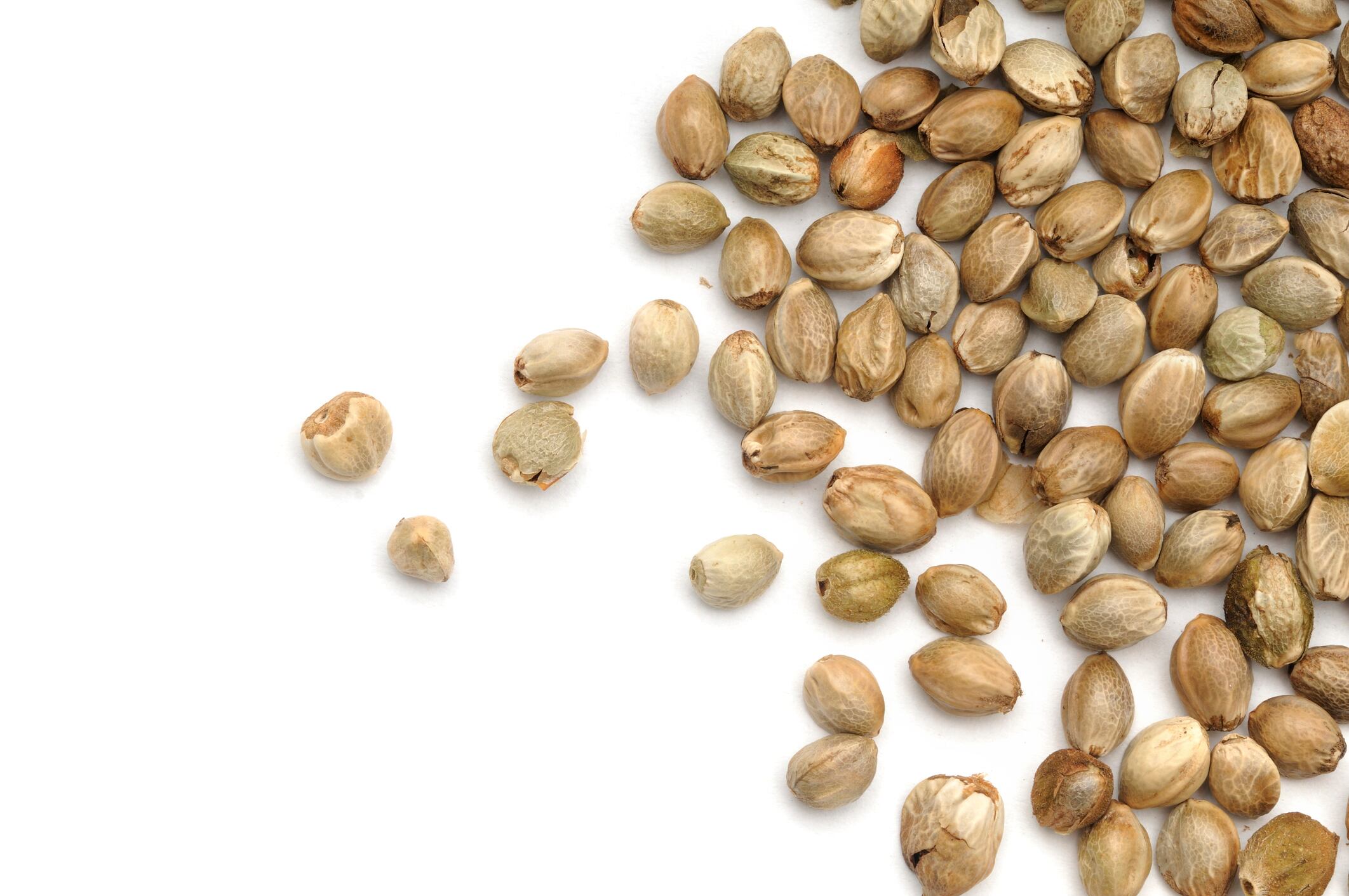 Hemp hulls yield phytonutrients targeting liver & metabolic health: Brightseed data