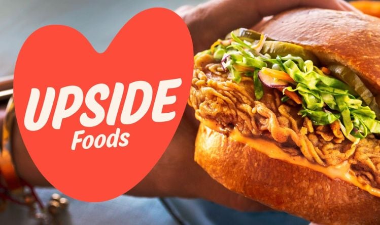 Upside-foods.jpg