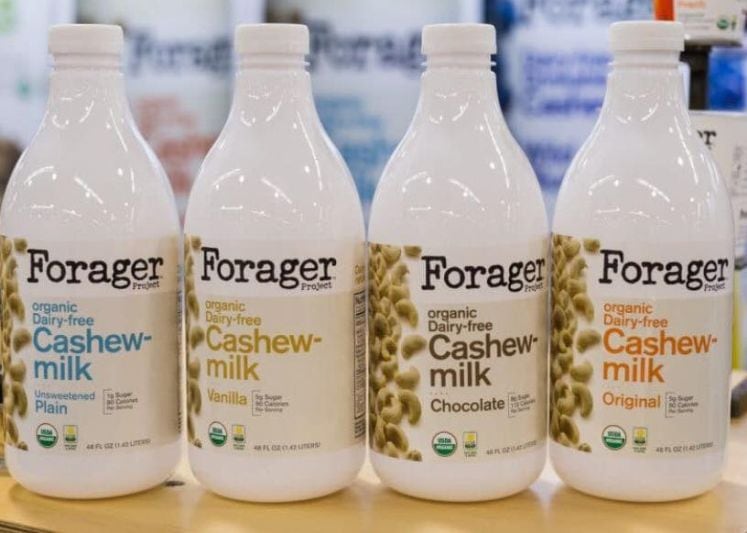 cashew-milk-forager.jpg