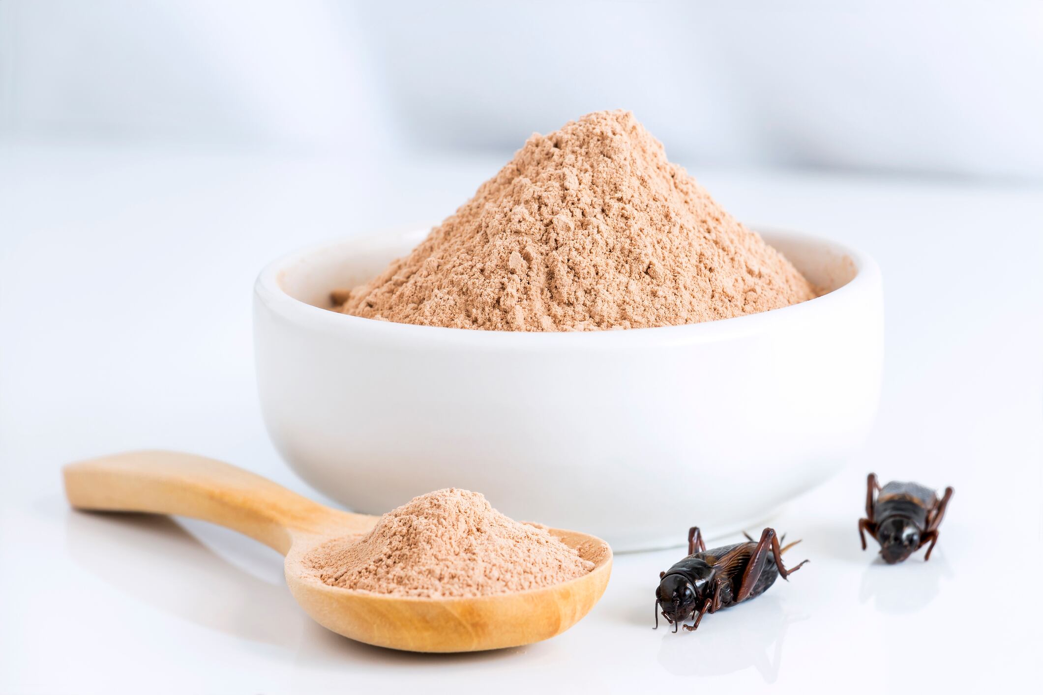 Cricket powder's 'outstanding' nutrition potential gets researchers hopping