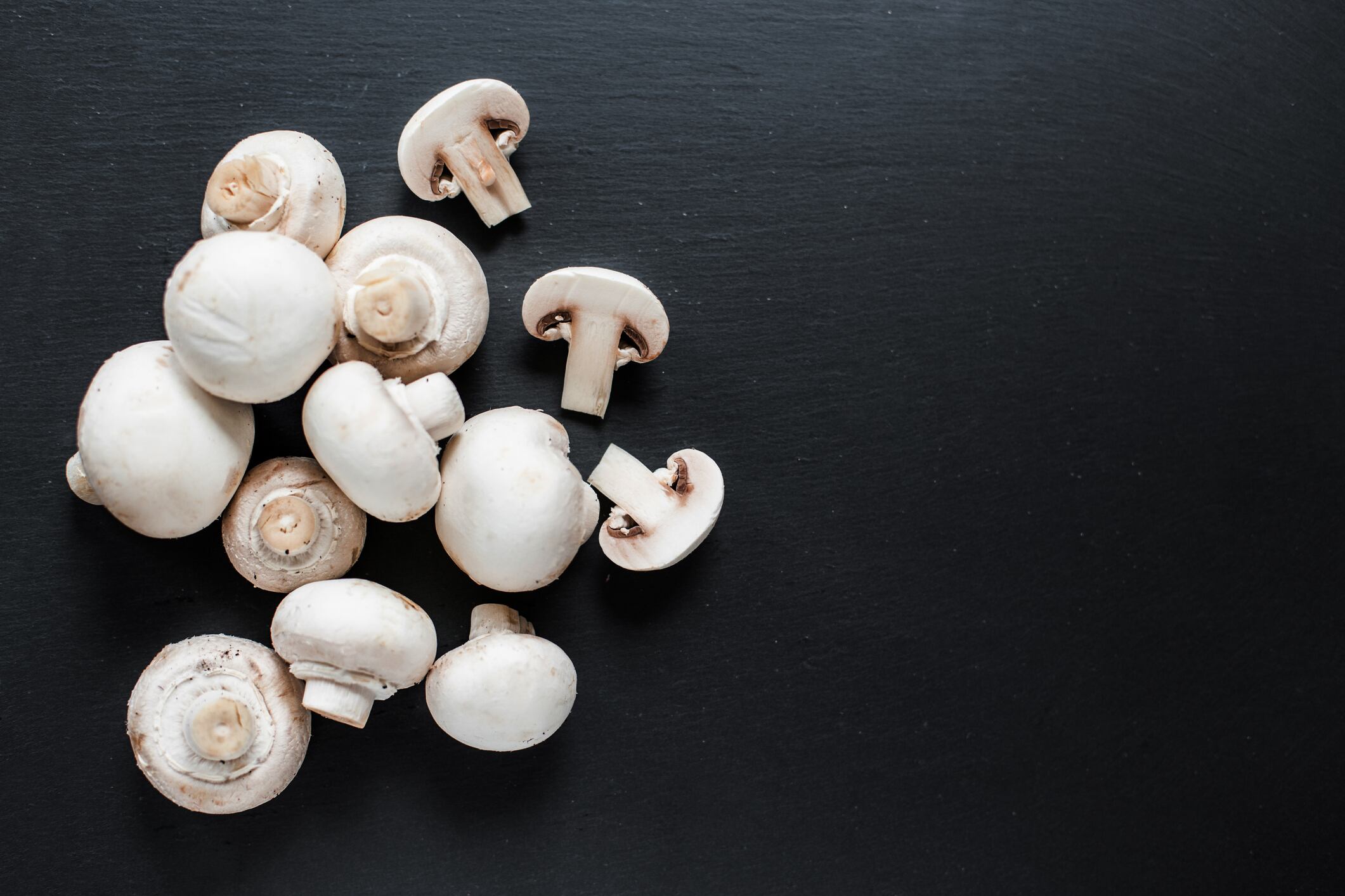 Chinova Bioworks secures seed financing to bring 'consistent and effective' anti-microbial chitosan to market