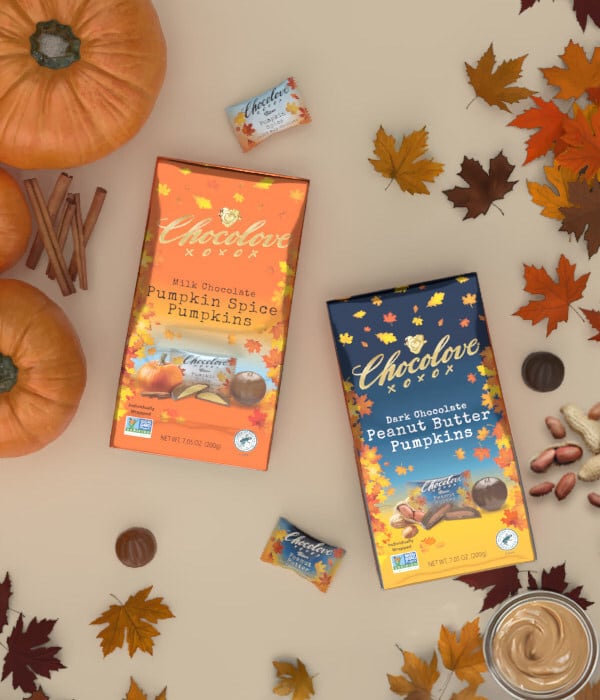 Display of Chocolove's Pumpkin-Shaped Fall Bites