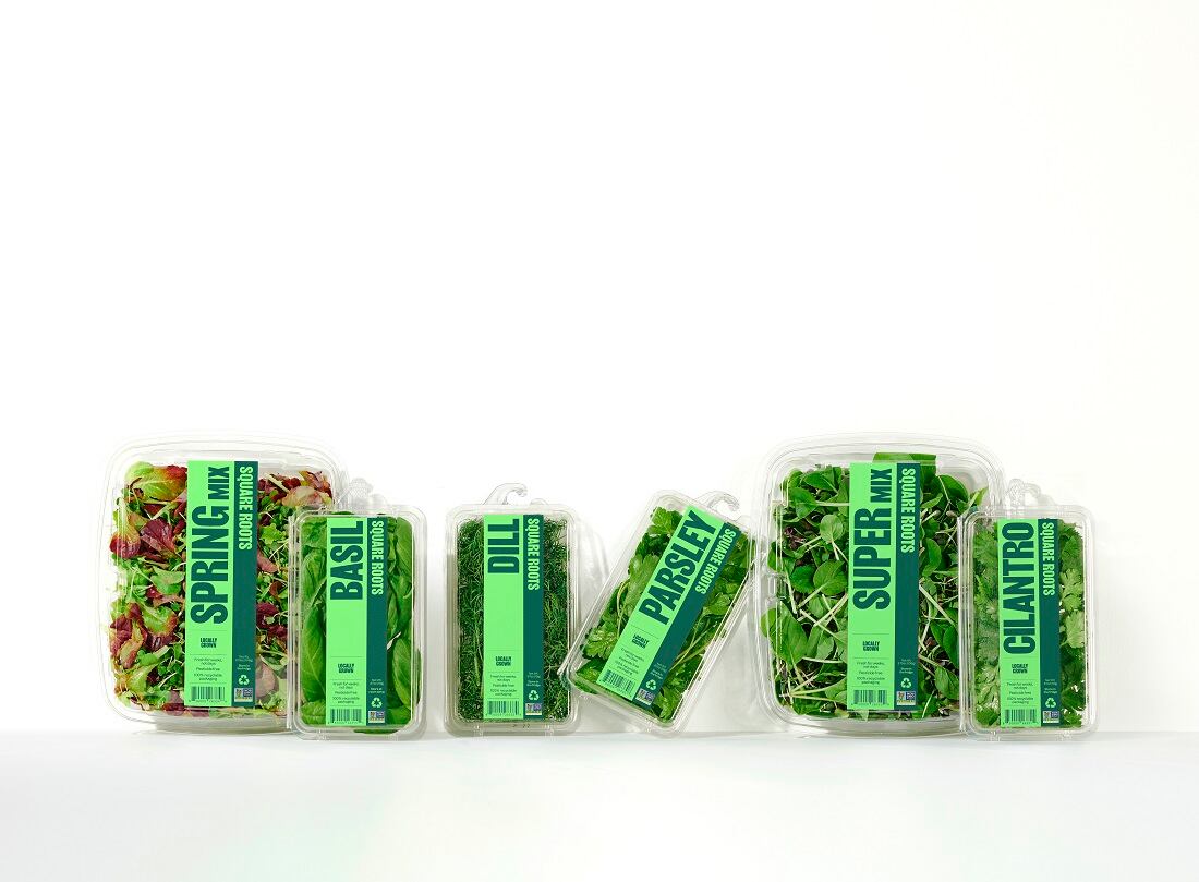 Square Roots unveils new brand identity: 'We have come up with something that is modern and very arresting on shelf'