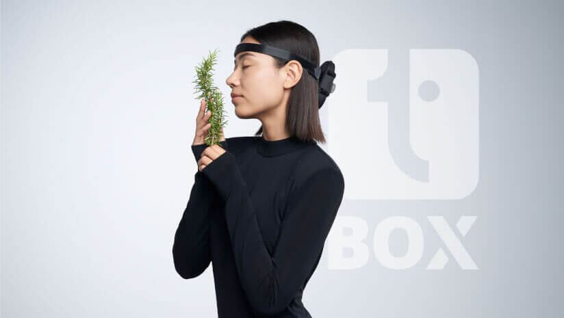 Kalsec partners with Thimus to launch T-Box, an AI-powered taste evaluation platform