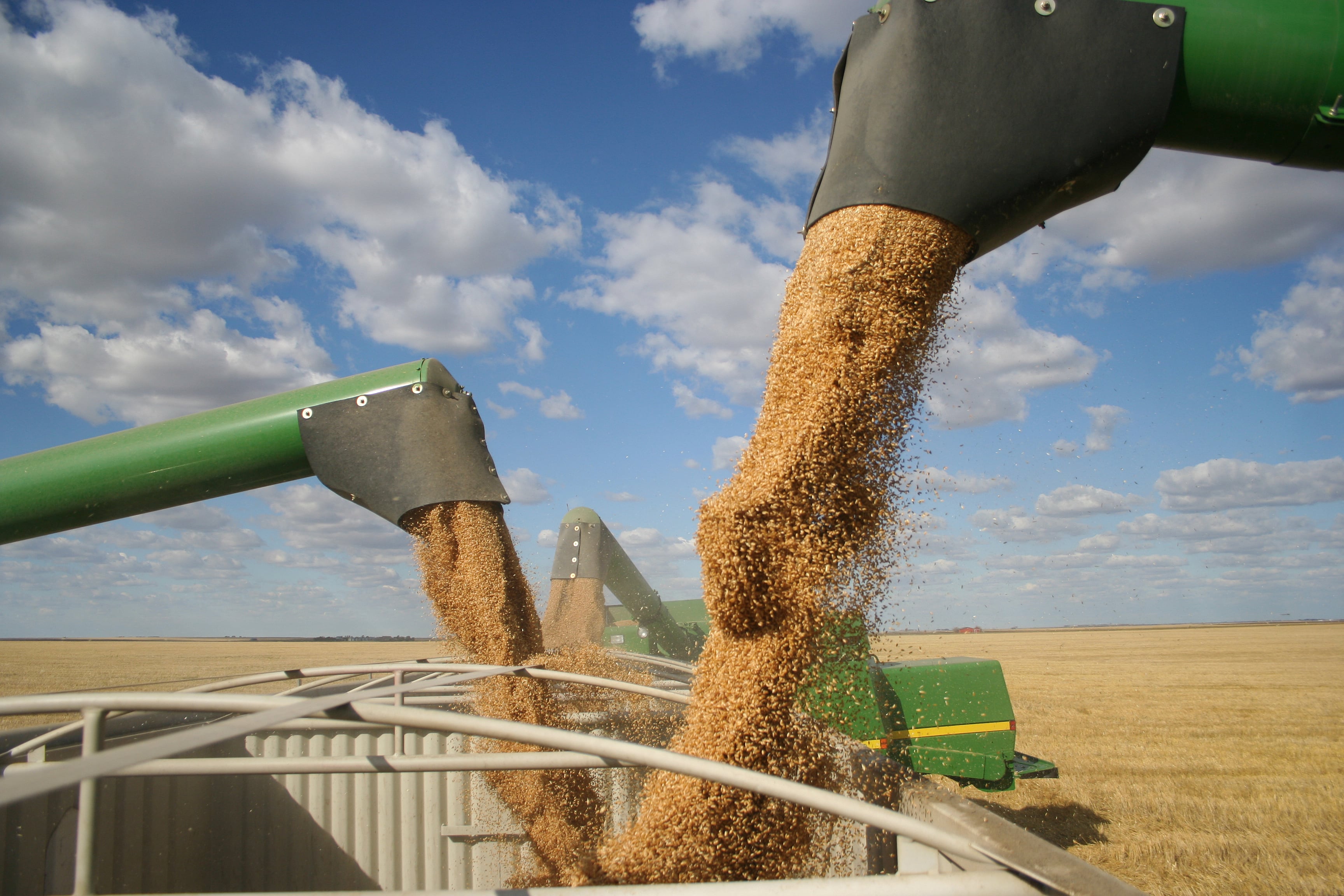 How King Arthur Baking Co. built a more resilient supply chain – and why relationships still matter most
