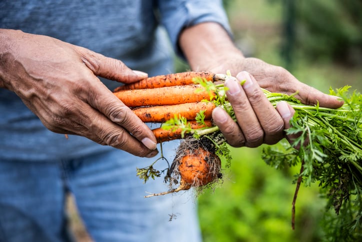 Organic marketing campaign cuts through greenwashing and taps into MAHA priorities