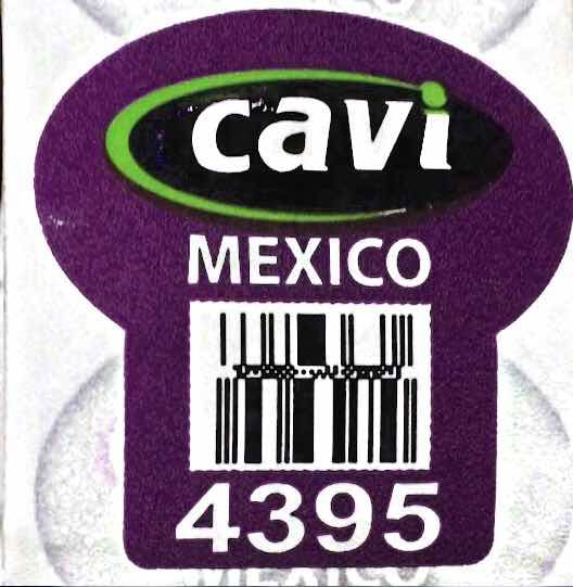 cavi-maradol-papaya-mexico.jpg