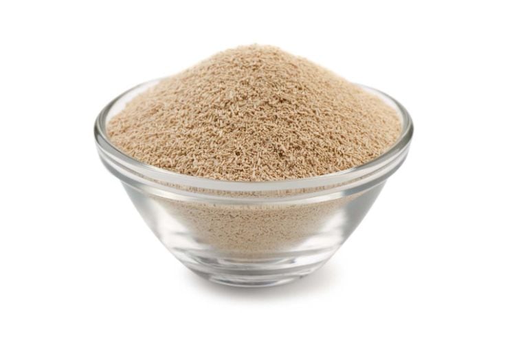 CLEAN LABEL IN FOCUS: Savory Taste Alliance seeks to demystify autolyzed yeast extract