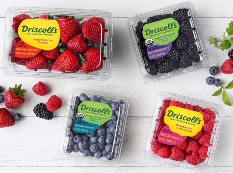 driscoll-s-berries.jpg
