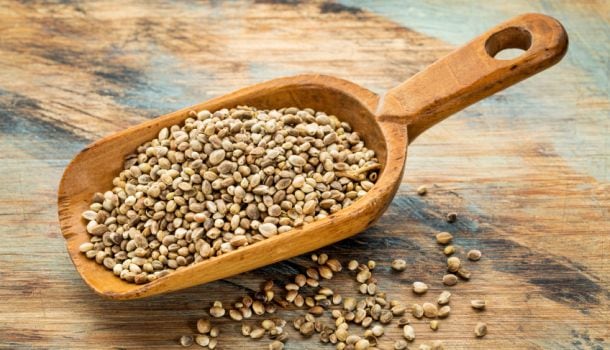 Hemp-seeds-istockphoto-marekuliasz.jpg