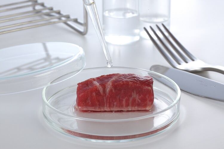 ‘World’s first’ growth media factory in the works for cultivated meat, milk