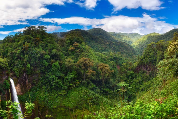 GettyImages-Miroslav-1-forest-deforestation.png